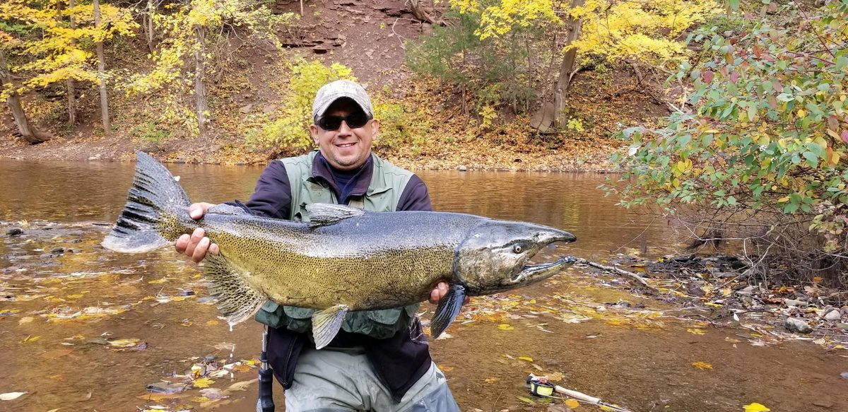 Route 18 Tackle (formerly Narby's) — live bait, fishing licenses, and local intel near the Oak Orchard